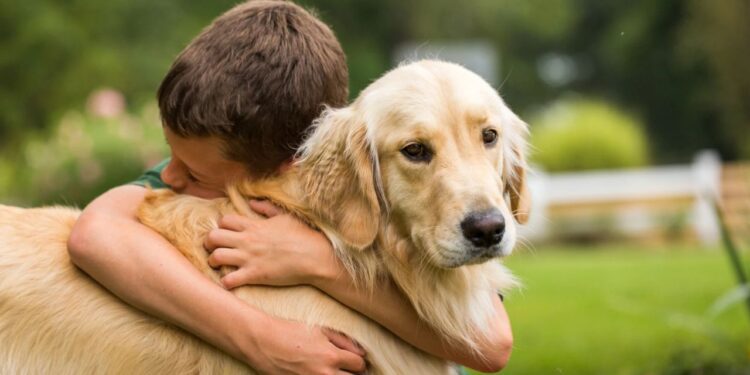 ¿Por qué tener un perro en casa puede mejorar tu bienestar y el de tu familia?