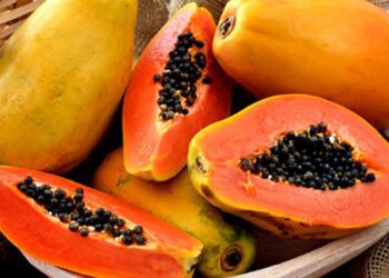 Papaya: la fruta tropical que mejora la digestión y protege tu salud intestinal