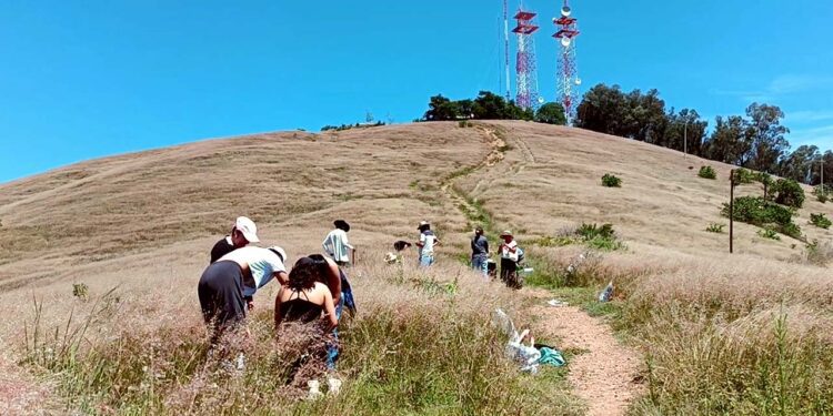 Foto: Lisbeth Mejía // Presuntos propietarios no permitieron que reforestaran la zona.