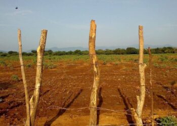 Terreno cercado de nueva cuenta por comuneros de Tagolaba, en el Istmo de Tehuanetpec; temen invasiones.