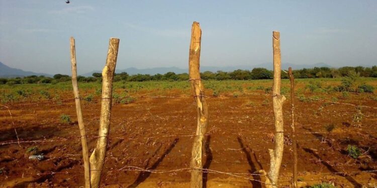 Terreno cercado de nueva cuenta por comuneros de Tagolaba, en el Istmo de Tehuanetpec; temen invasiones.