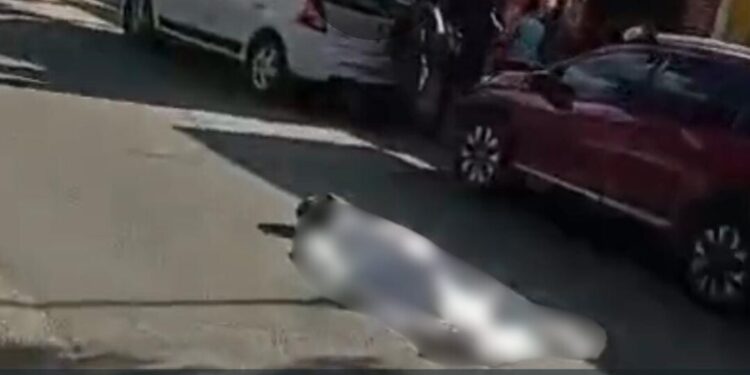 ¡Casco aplastado, muerte instantánea! Tragedia en Símbolos Patrios