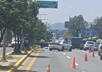 ¡Muerte en la carretera 190! joven es atropellado por camioneta en San Pablo Etla