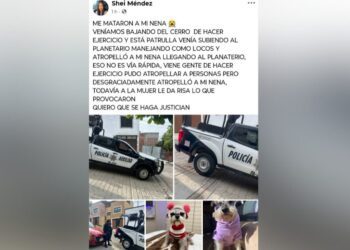Patrulla mata a perrita en el Cerro del Fortín: acusan abuso de autoridad y burlas tras el hecho