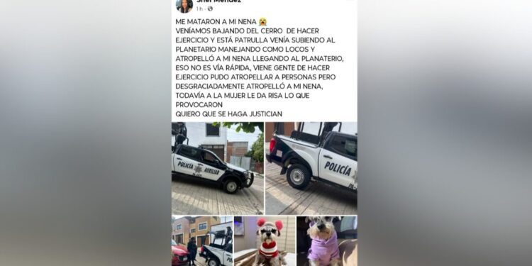 Patrulla mata a perrita en el Cerro del Fortín: acusan abuso de autoridad y burlas tras el hecho
