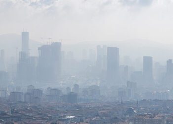 Respirar aire contaminado acelera el deterioro del cerebro