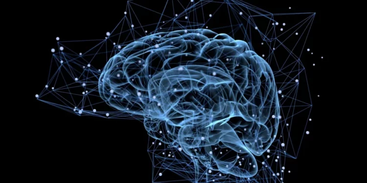 Cómo un análisis de sangre puede detectar el envejecimiento cerebral antes de que aparezcan síntomas