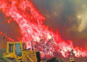 Grecia, Portugal, Turquía, Albania y España continúan este miércoles la lucha contra violentos incendios forestales.