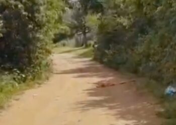 ¡Hallan cuerpo en putrefacción atado de pies y manos en zona de Atzompa! Sitio usado como “tiradero de cadáveres”