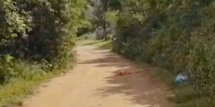 ¡Hallan cuerpo en putrefacción atado de pies y manos en zona de Atzompa! Sitio usado como “tiradero de cadáveres”