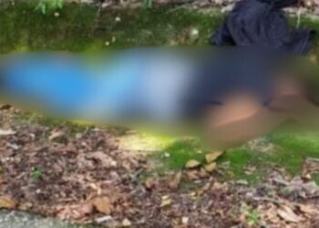 El estafador que se hizo pasar por el CJNG terminó ejecutado por el verdadero cártel