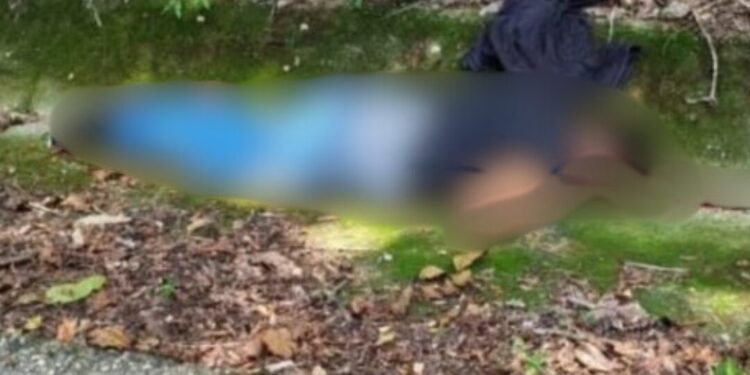 El estafador que se hizo pasar por el CJNG terminó ejecutado por el verdadero cártel