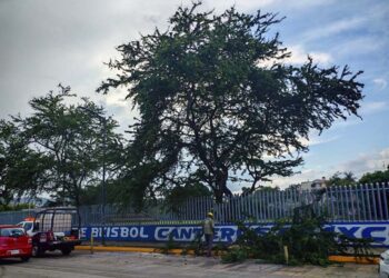 El hecho ocurrió en la avenida Lázaro Cárdenas, esquina con 16 de Septiembre en santa Lucía.