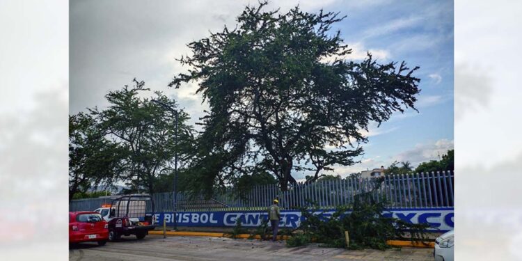 El hecho ocurrió en la avenida Lázaro Cárdenas, esquina con 16 de Septiembre en santa Lucía.