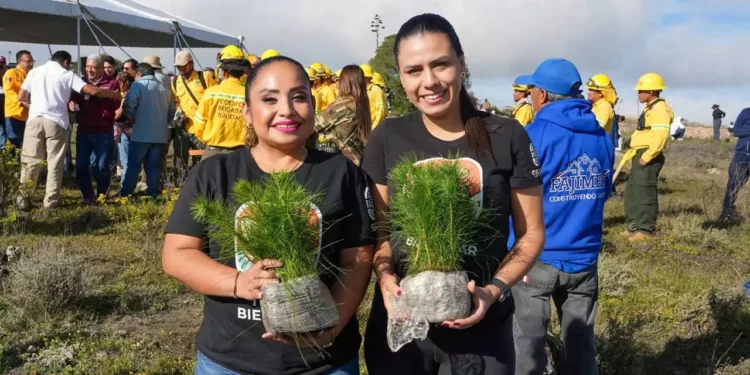 En esta actividad estuvieron presentes más de mil personas con todo el empeño para poder lograr el objetivo.