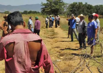 Un total de 12 conflictos es atendido a través de la Mesa de Inteligencia Agraria.