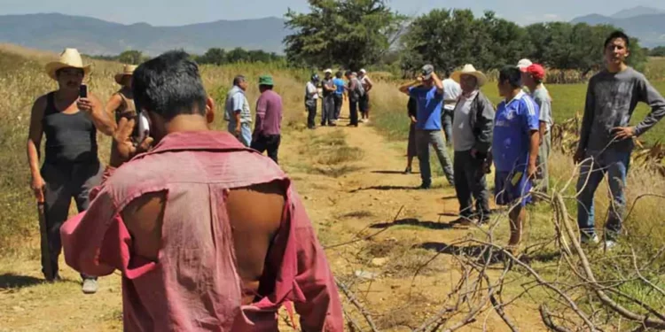 Un total de 12 conflictos es atendido a través de la Mesa de Inteligencia Agraria.