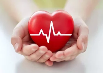 Foto: internet – ilustrativa // La obesidad y el sobrepeso son factores que influyen en la presencia de diversas enfermedades como las del corazón y la diabetes.
