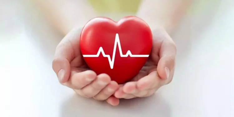 Foto: internet – ilustrativa // La obesidad y el sobrepeso son factores que influyen en la presencia de diversas enfermedades como las del corazón y la diabetes.