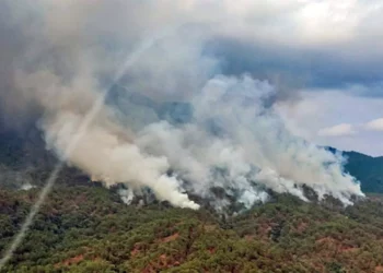 De enero a septiembre, los incendios forestales de 2025 han afectado a 34 mil 716.11 hectáreas en Oaxaca
