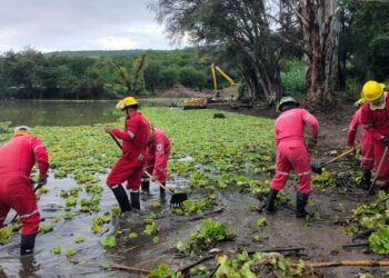 Autoridades y comuneros de Yosocuta realizaron labores de limpieza en la presa “Lázaro Cárdenas”.