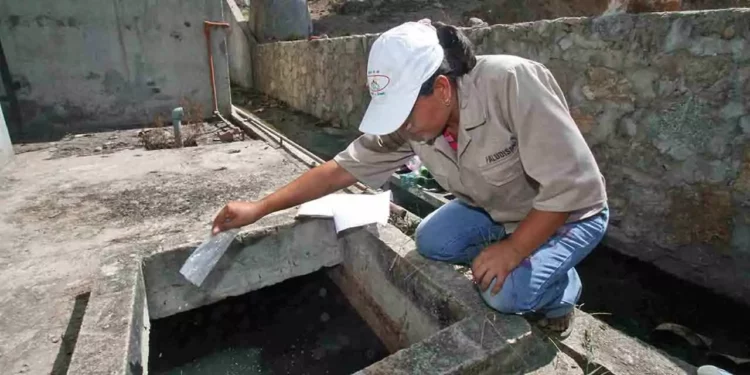 Foto: archivo // Piden continuar con la limpieza constante de patios y azoteas.