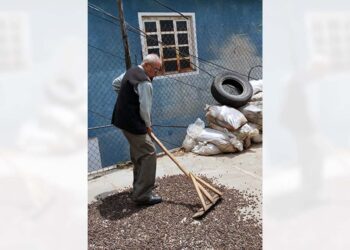 Comerciantes del aromático están preocupados por la falta del grano.