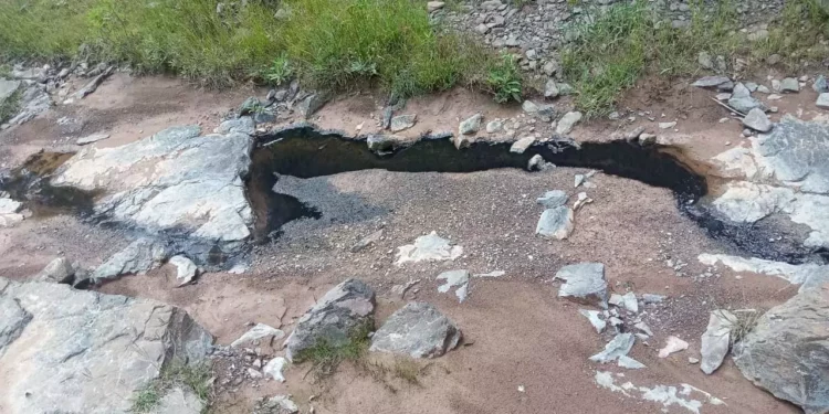 Pobladores hicieron un llamado urgente a las autoridades para atender esta situación.