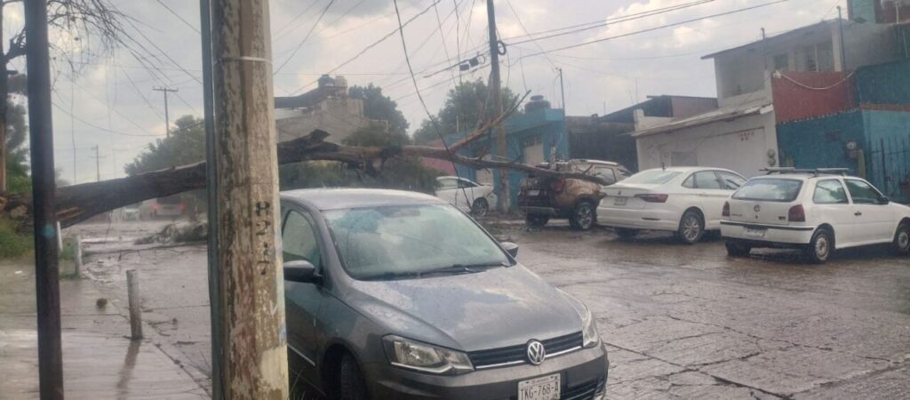 Las Flores, colonia Reforma, las Unidades Habitacionales del Infonavit, Ixcotel, San Agustín Yatareni y Santa Lucía registraron inundaciones y caída de árboles.