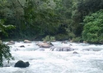 ¡Río Petlapa se traga a una niña! La menor de 7 años fue arrastrada por la corriente