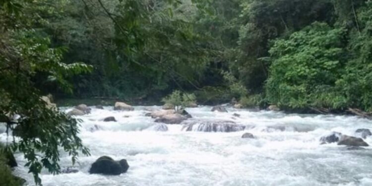 ¡Río Petlapa se traga a una niña! La menor de 7 años fue arrastrada por la corriente