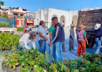 Autoridades y vecinos destacaron la importancia de rescatar áreas verdes y fomentar la cultura ambiental.