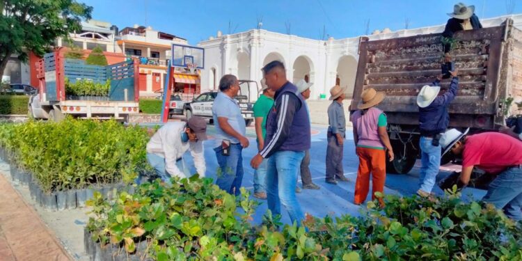 Autoridades y vecinos destacaron la importancia de rescatar áreas verdes y fomentar la cultura ambiental.