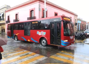 El acceso a adultos mayores ha sido una recurrente molestia para los conductores del pulpo camionero.