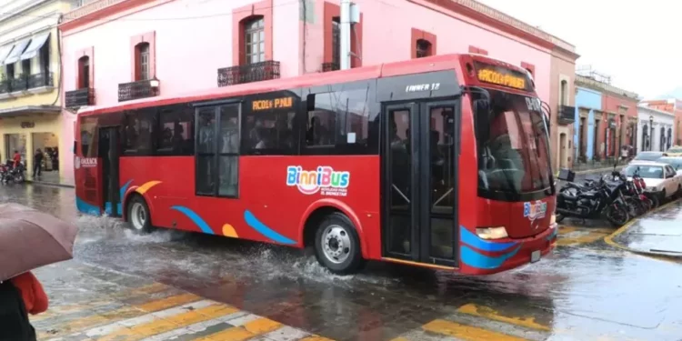 El acceso a adultos mayores ha sido una recurrente molestia para los conductores del pulpo camionero.