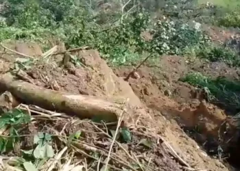 Deslizamiento de tierra en Oaxaca activa alerta en San Felipe Jalapa de Díaz; sin víctimas, pero persiste el riesgo
