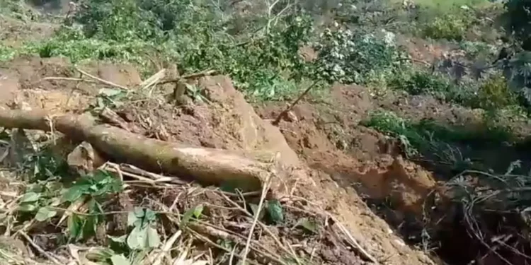 Deslizamiento de tierra en Oaxaca activa alerta en San Felipe Jalapa de Díaz; sin víctimas, pero persiste el riesgo