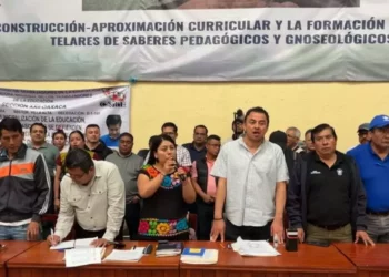 La dirigente sindical aseguró que el magisterio oaxaqueño prepara un plan de acción a corto, mediano y largo plazo
