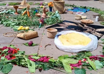 Conmemoran el Día Estatal del Maíz Nativo