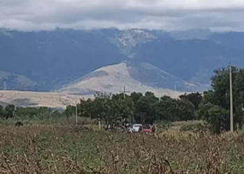 El hallazgo estremeció a vecinos y automovilistas que circulaban por la carretera federal 131.