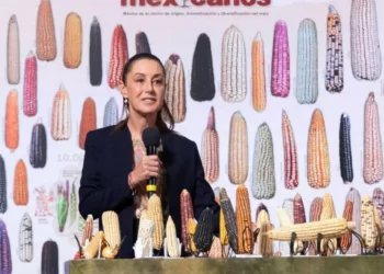 Tortillas horneadas por campesinos, ofrece Sheinbam; precio de garantía