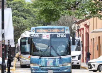 ¿Cuál es el costo real del BinniBbus? ¡te sorprenderá!