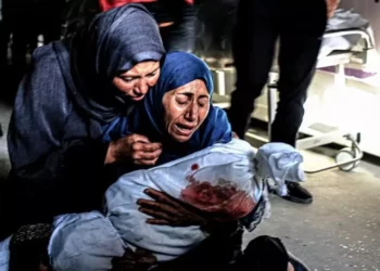 Israel, genocida en Gaza; van 65 mil muertes y grave éxodo