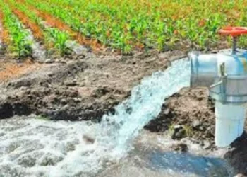 Una concesión de agua en Oaxaca ¡geolocalizada en Tailandia!