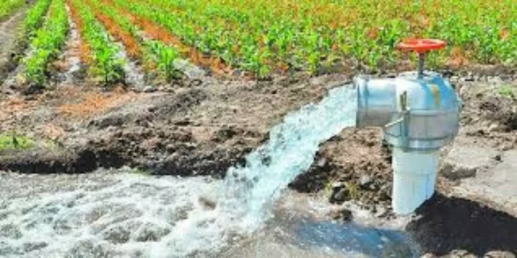 Una concesión de agua en Oaxaca ¡geolocalizada en Tailandia!