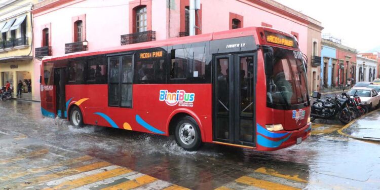 Foto: Jesús Santiago // El BinniBus circula en terreno peligroso con la empresa OLC Express México.