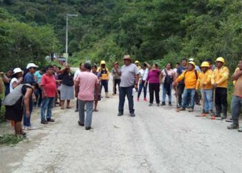 En San Isidro Huayápam sembraron 3 mil árboles para restaurar el entorno natural.