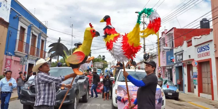 Fotos: Adrián Gaytán // Agrupaciones que organizan jaripeos y peleas de gallos, entre otras festividades marcharon para demandar que no se prohíban estas actividades tradicionales.