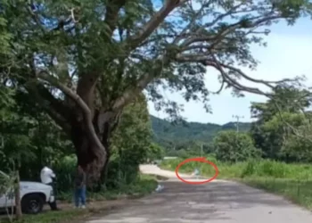 Ejecutan a un hombre en Unión Linda Vista, Jamiltepec: sigue la violencia en la Costa oaxaqueña