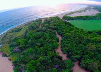 Foto: cortesía // Frenan el ecocidio en Punta Colorada.
